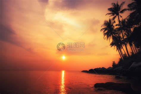 采取泰国热带日落普吉岛令人惊叹的热带日落布吉岛风景和目的地天堂多米尼加高清图片下载-正版图片307997306-摄图网