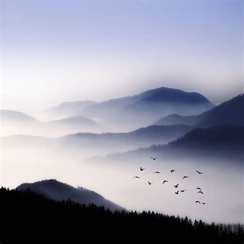 多雾朦胧的山林摄影图片图片-包图网
