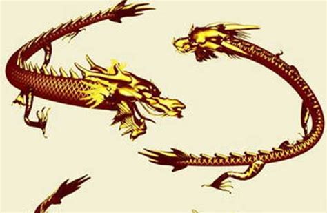 C4D 3D中国龙神龙金龙神话动物带材质纹理贴图动画三维模型