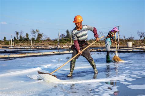 2021年中国食盐行业全景速览：行业集中度低，出口量持续增加[图]_智研咨询