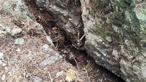 男孩失踪13年，尸骨在山林地缝被发现，两名女子被警方带走_凤凰网