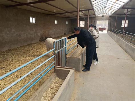 武威市人民政府 科技特派员在行动 3月24日，市畜牧兽医总站科技特派员在凉州区省级种牛场指导牛胚胎生物实验室建设和同期发期产犊牛护理。