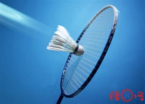 给羽毛球比赛取名-羽毛球比赛活动名字-名字大全_猎名网