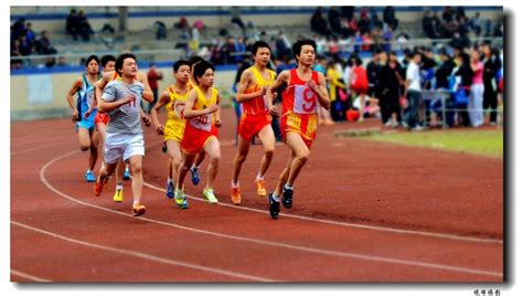 全国田径锦标赛男子十项全能，郭奇7405分夺冠 - 山东省田径运动协会