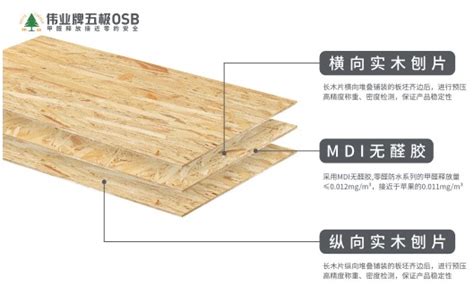 预见2019：中国板材品牌回归本质-中国木业网