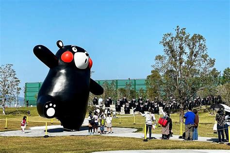 米熊俱乐部壮熊