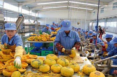 三农日报（12月10日）中国农产品加工业：与发达国家差距较大__财经头条