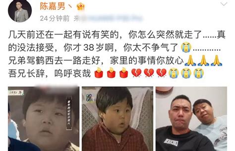 38岁童星陈晨因病去世，“小龙人”陈嘉男悼念，承诺照顾其俩女儿