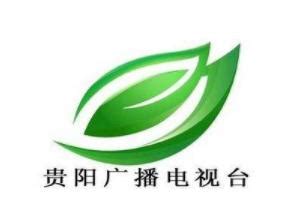 贵州卫视设计含义及logo设计理念-三文品牌