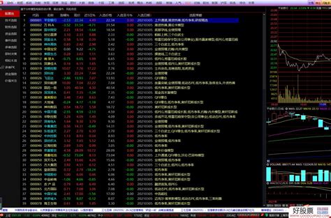 最专业的股票软件_中国软件股票 - 随意云