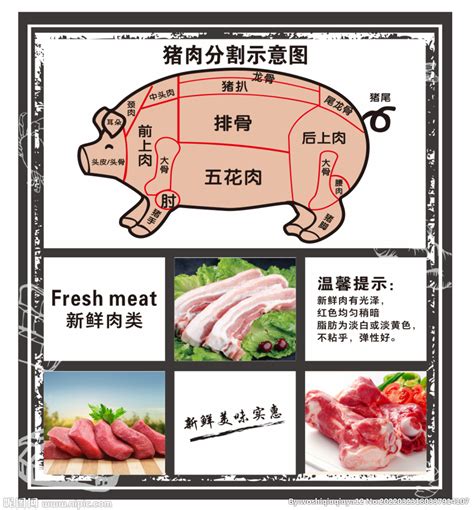 猪肉分割示意图设计图__展板模板_广告设计_设计图库_昵图网nipic.com
