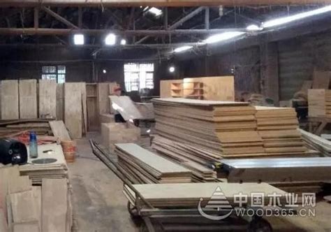 山东庄寨镇：全国最大的桐木加工出口基地-木业网