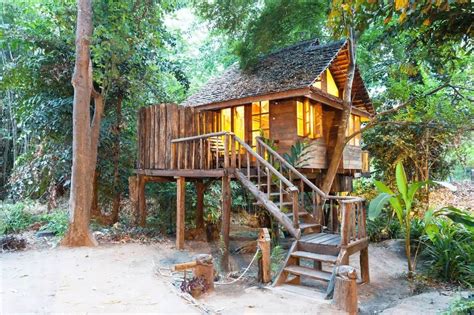 原来树上也可以住人，树屋酒店给你不一样的体验 - 玖米建筑工业