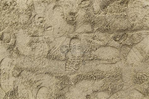 沙中的鸭子足迹高清图片下载-正版图片307299653-摄图网
