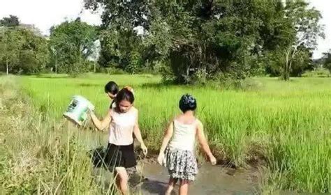 越南姑娘河边做饭，抬头那一刻真是太惊艳了，真想把她娶回家__财经头条