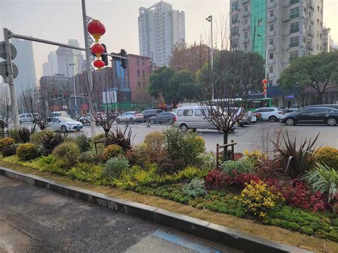 武汉首批复合型生态城市花园路口在江汉建成_生态频道_新闻中心_长江网_cjn.cn