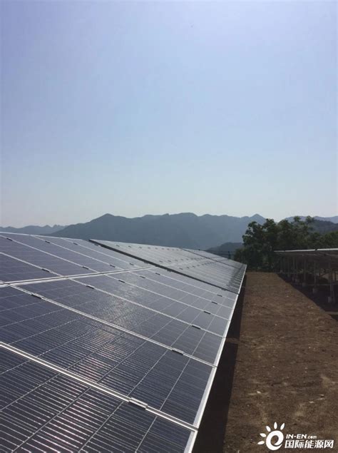 总投资56亿！山东省滨州获首个国家级大型光伏基地项目-国际新能源网