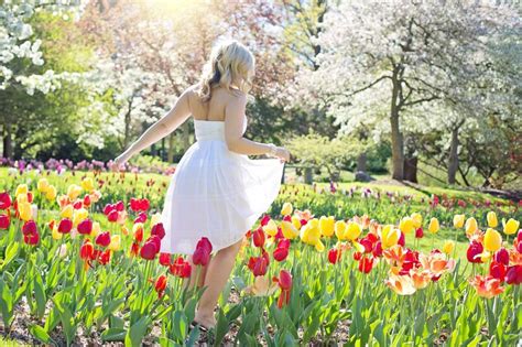 郁金香花丛中穿着白色连衣裙的美女背影 - 免费可商用图片 - cc0.cn