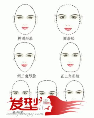 脸型分布图,脸型分类图,脸型配发型_大山谷图库