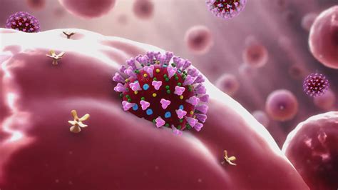 华夏源细胞集团免疫存储探究：新病毒“LayV”出现！免疫细胞如何战胜病毒？_ 华夏源生命库SNC