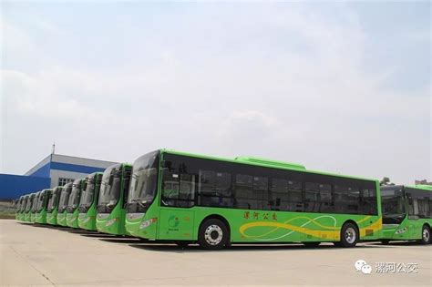 漯河主城区新能源公交车全覆盖，今年还有这些大动作！-大河报网