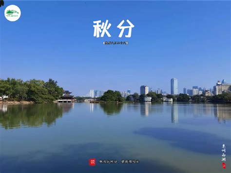 杭州西湖区门户网站 2019年
