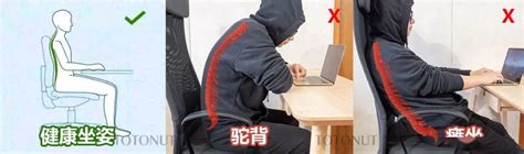标准不累腰坐姿图图片