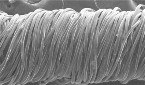 第二代连续碳化硅纤维（Shincolon-Ⅱ）-宁波众兴新材料科技有限公司