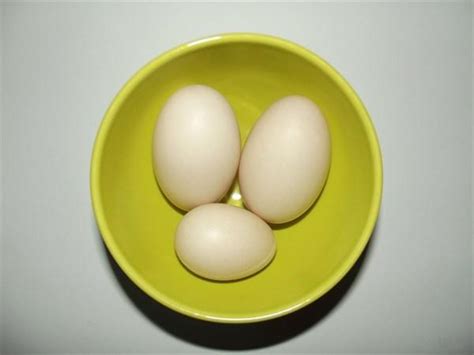 咸鸭蛋的家常7种做法，简单易学！做出来的咸鸭蛋美味极了__财经头条