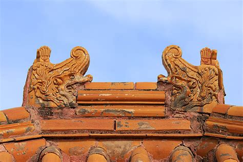 吻兽图片