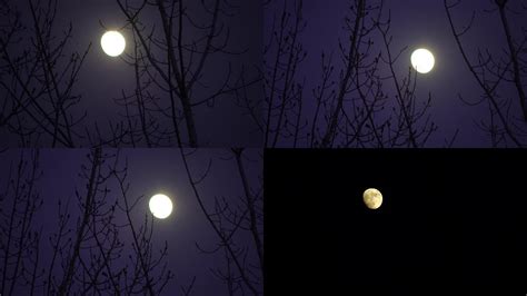 月球晚上月亮天空记实摄影图配图高清摄影大图-千库网