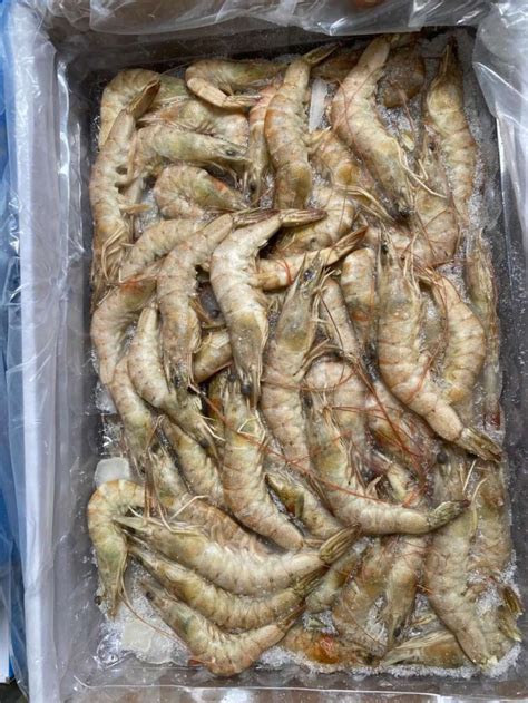 厄瓜多尔白虾70/80 南美对白虾 大虾青虾冻虾冰虾基围虾批发-阿里巴巴