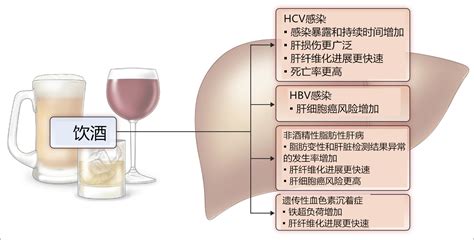 深度详解：酒精对肝病患者的影响及相关治疗手段_酒精性肝病_酒精性肝炎_医脉通