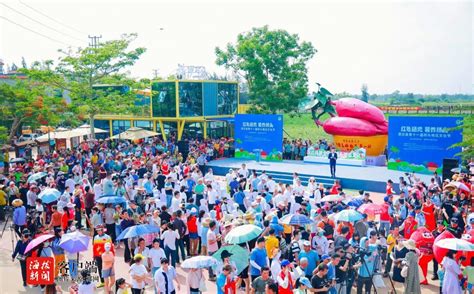 澄迈第十一届桥头地瓜文化节举办
