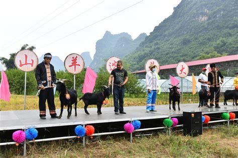 鼓乡歌海 祥寿马山——2022年马山“美食节”活动即将举办|马山|马山县|歌海_新浪新闻