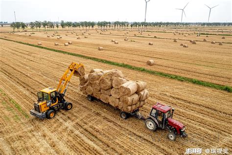 “豫北粮仓”滑县：181.2万亩小麦喜获丰收，“开镰”收割了！ - 知乎
