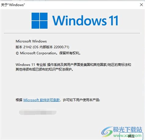 windows11如何查看系统版本号？- windows11获取系统版本号的三种方法 - 极光下载站