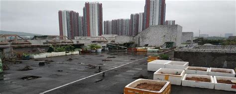 杭州“名都苑”小区多数天台都被顶楼业主占用了 晾衣服有了困难_视频_长沙社区通