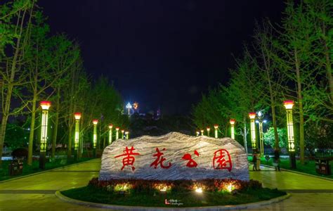 祁东县人民政府门户网站-祁东黄花公园夜景