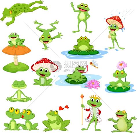 有趣的青蛙集插画图片下载-正版图片303167060-摄图网