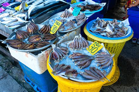 渔民一网捕到20万斤大鱼 价值上千万只卖了80万_手机新浪网