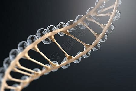 生物结构图图片