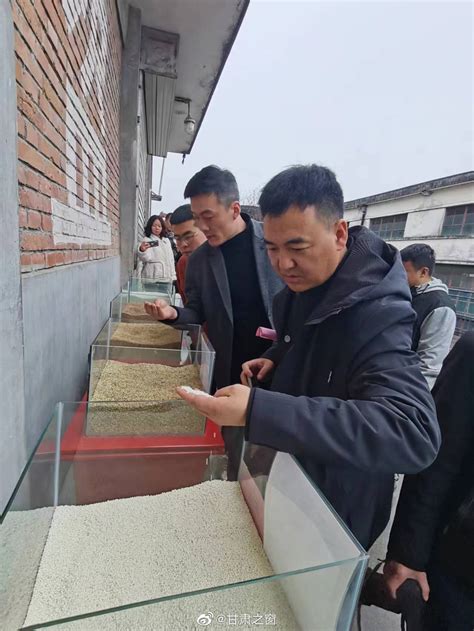 3月2日，陇南网络大V行活动组来到成县红川酒厂……