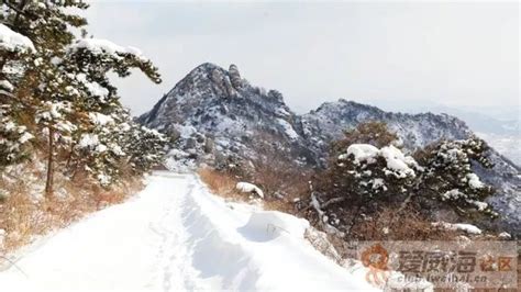 奇特的山东“雪窝”现象，让“冬季到威海烟台来看雪”成为旅游品牌