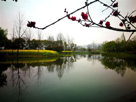 杭州白马湖生态创意城动漫广场-李大伟-中国美术学院风景建筑设计研究总院有限公司