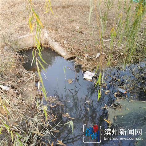 滨州一公园水域黑臭且设施破损严重 相关部门：尽快核实_滨州新闻网