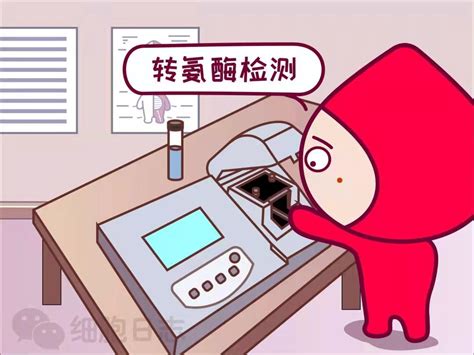 献血检测不合格，未必证明你有病！假阳性献血者可否归队？-中国输血协会