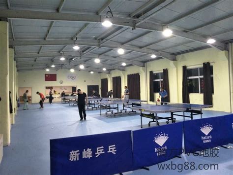 【杭州】新峰乒乓球运动地胶|室内球场运动地板 经典案例|【腾方厂家】首页