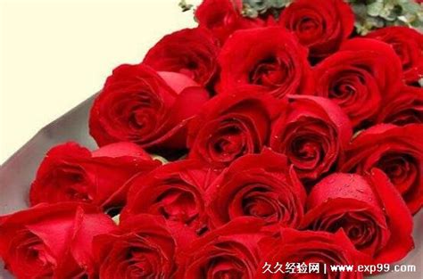 19朵11朵玫瑰代表什么意思，玫瑰送11朵还是19朵(1到99朵玫瑰含义) — 久久经验网