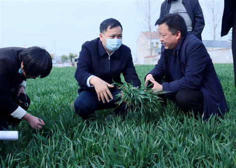 曾凯调研我市今冬保暖保供工作_永城资讯_要闻动态_永城市人民政府